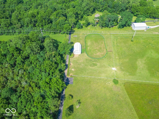 bird's eye view