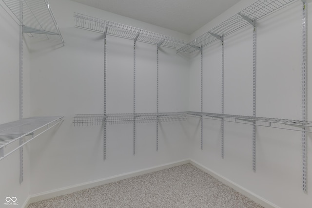 spacious closet featuring carpet flooring