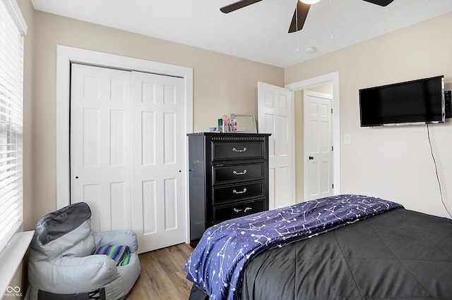 bedroom with a ceiling fan, a closet, and wood finished floors