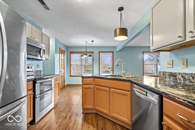 kitchen with light wood finished floors, a peninsula, a sink, stainless steel appliances, and a wealth of natural light