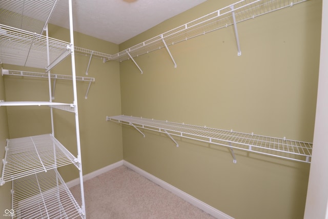 walk in closet with carpet