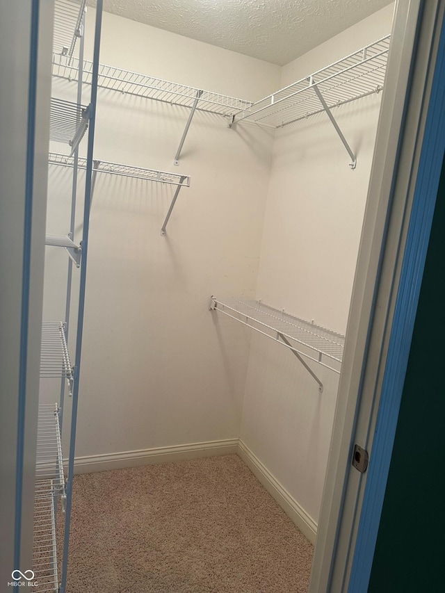 walk in closet with carpet flooring