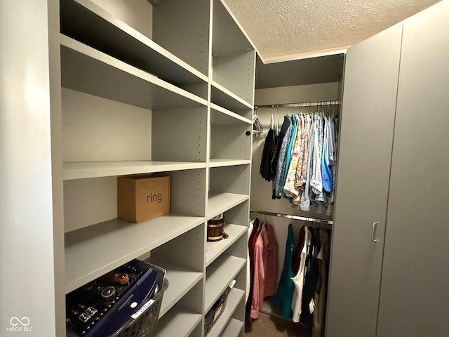 view of walk in closet