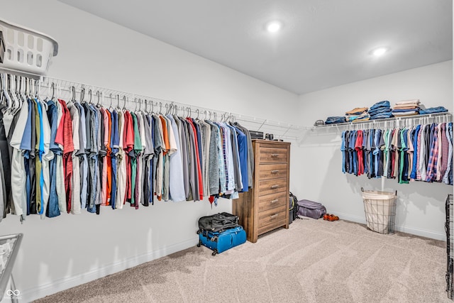 spacious closet with carpet