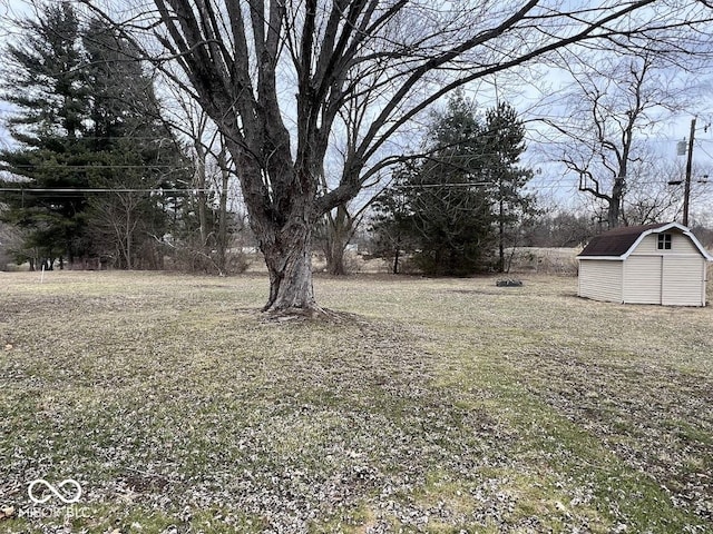 view of yard with an outdoor structure and a storage unit