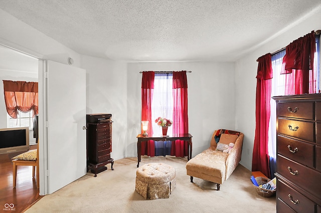 sitting room with a textured ceiling and carpet