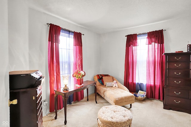 sitting room featuring a healthy amount of sunlight, a textured ceiling, and carpet floors