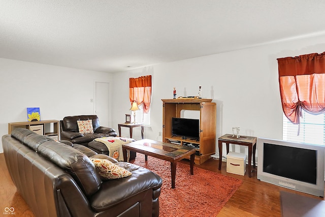 living area with wood finished floors and a textured ceiling