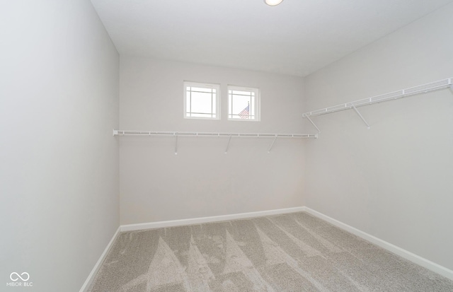 spacious closet featuring light carpet