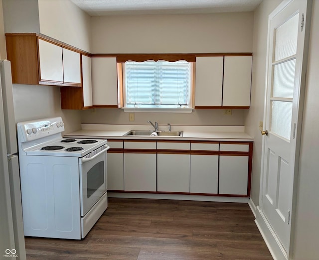 kitchen featuring white appliances, dark wood-style flooring, a sink, light countertops, and white cabinetry