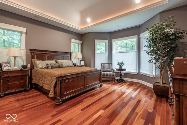 bedroom featuring multiple windows, a raised ceiling, and light wood-type flooring