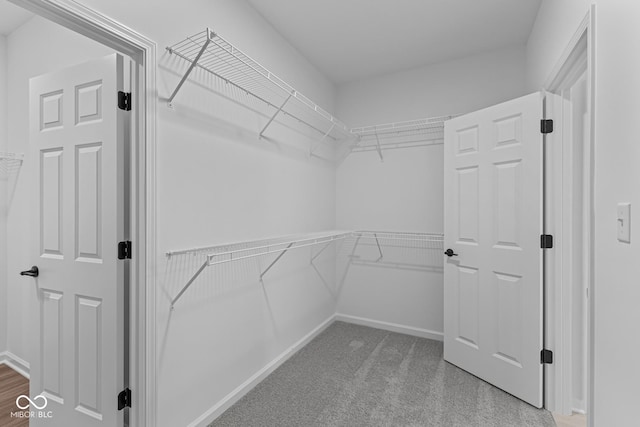 walk in closet with carpet flooring