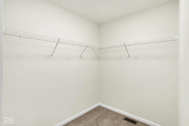 spacious closet featuring carpet floors and visible vents