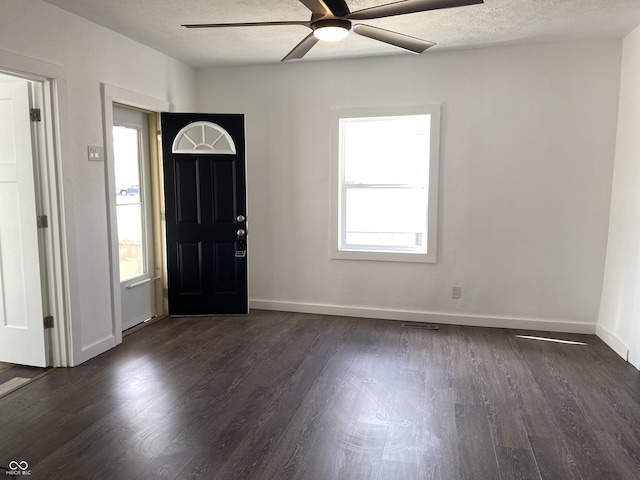 foyer entrance featuring dark wood-style flooring, plenty of natural light, a textured ceiling, and baseboards