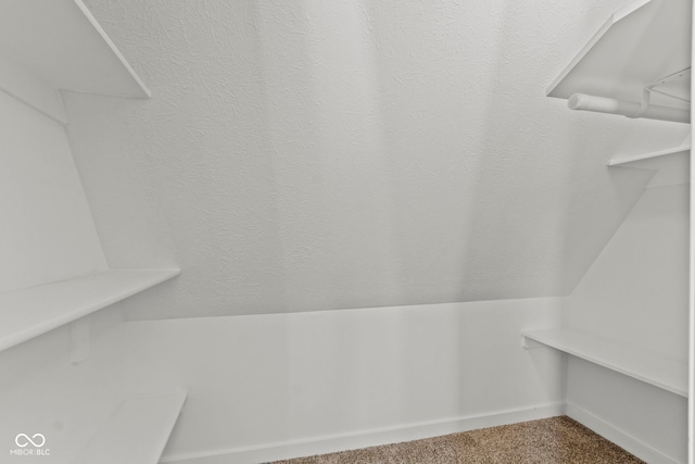 spacious closet featuring vaulted ceiling and carpet flooring