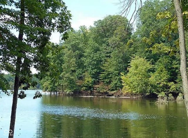 property view of water with a wooded view