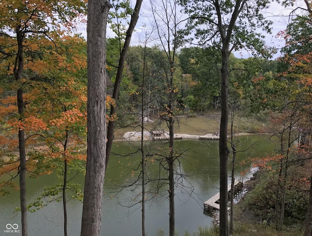 property view of water featuring a view of trees