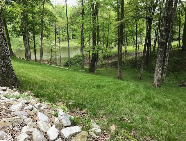 view of landscape featuring a water view