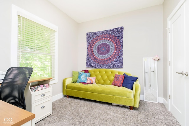 office area with baseboards and carpet