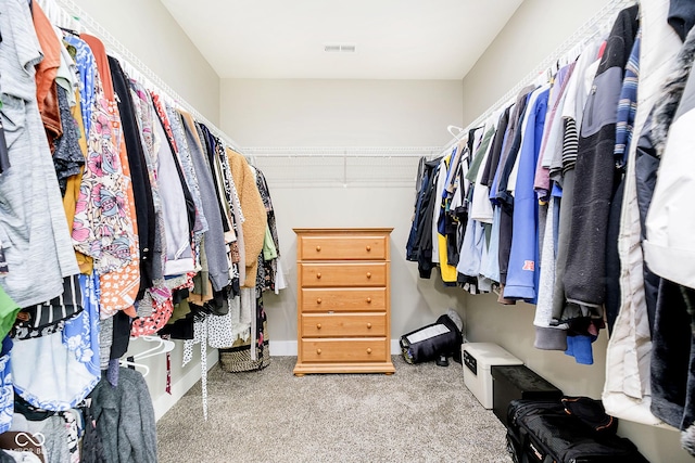 spacious closet with visible vents