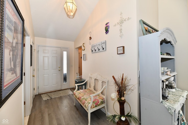 entryway featuring vaulted ceiling and wood finished floors