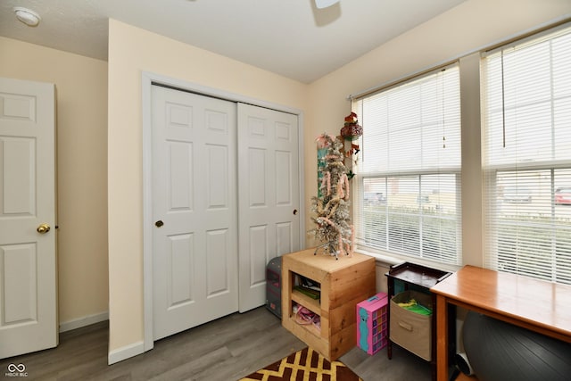 office with plenty of natural light, baseboards, ceiling fan, and wood finished floors