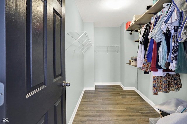 spacious closet featuring wood finished floors