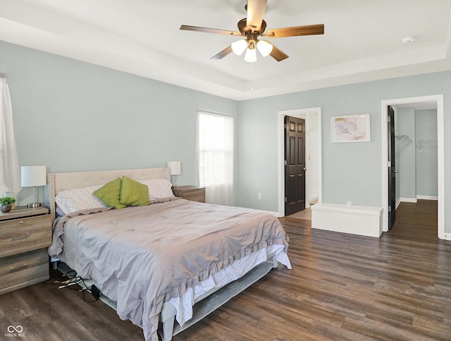 bedroom featuring a raised ceiling, a spacious closet, a ceiling fan, wood finished floors, and baseboards