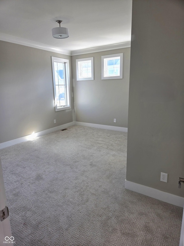 carpeted spare room with crown molding and baseboards