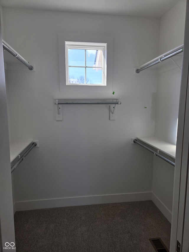 walk in closet with visible vents and dark carpet