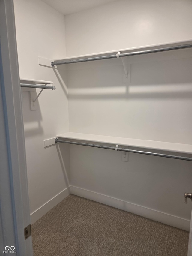 walk in closet with carpet