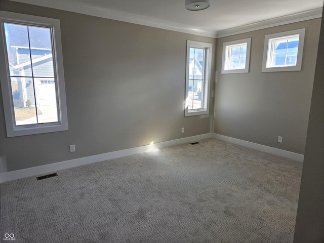 carpeted spare room with baseboards, visible vents, a healthy amount of sunlight, and crown molding