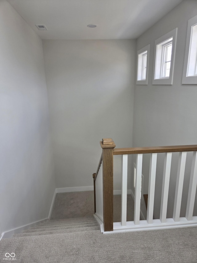 stairs featuring baseboards and carpet