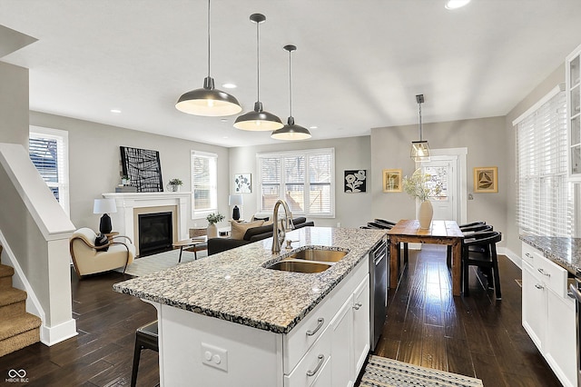 kitchen featuring a sink, plenty of natural light, dark wood-type flooring, and dishwasher