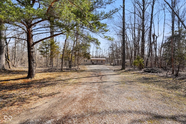 view of street with dirt driveway