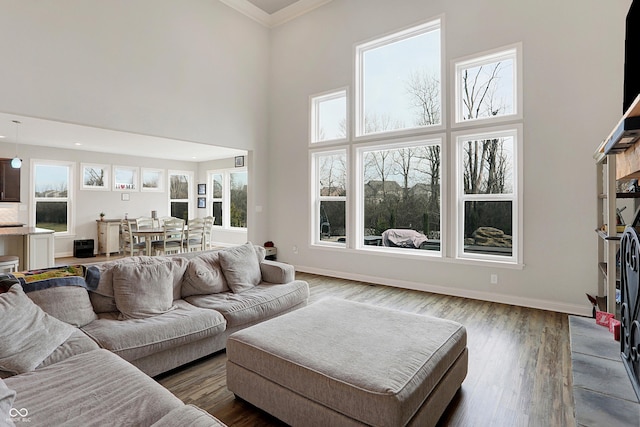 living area featuring dark wood-style floors, a high ceiling, crown molding, and baseboards