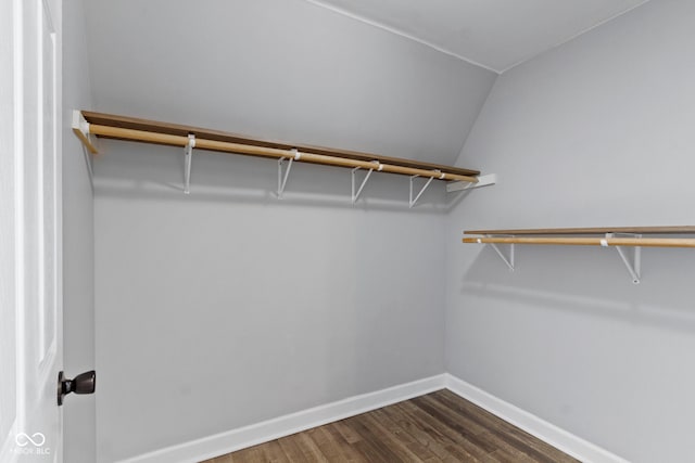 spacious closet featuring lofted ceiling and dark wood-type flooring