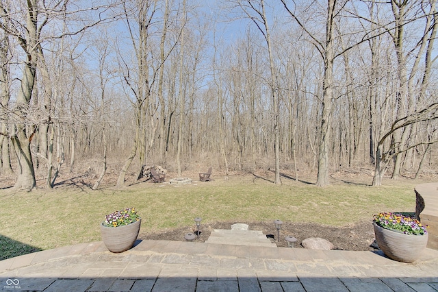 view of yard with a patio