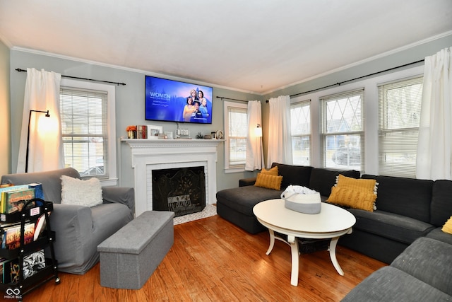 living room featuring a healthy amount of sunlight, ornamental molding, and wood finished floors