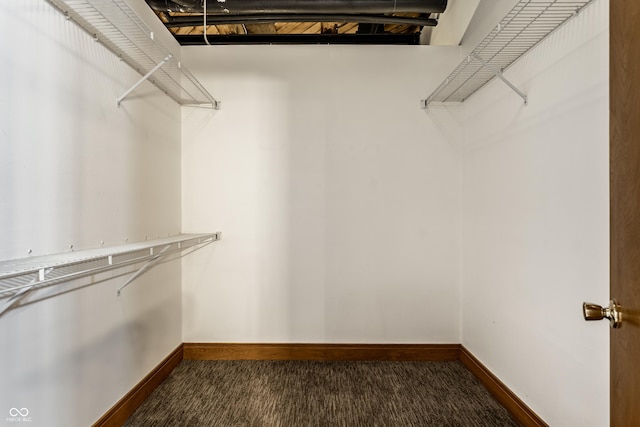 spacious closet featuring carpet flooring