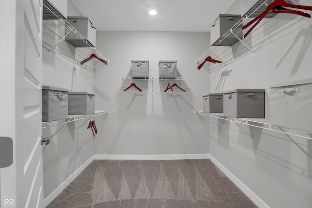 walk in closet featuring carpet floors