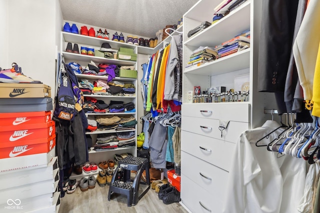 spacious closet with wood finished floors