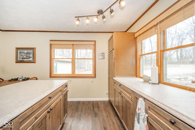 kitchen featuring dark wood-style floors, crown molding, light countertops, track lighting, and baseboards