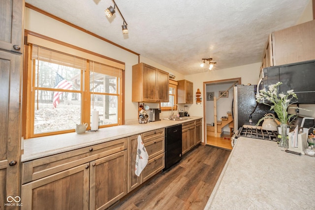 kitchen with black dishwasher, dark wood-style flooring, a sink, and light countertops