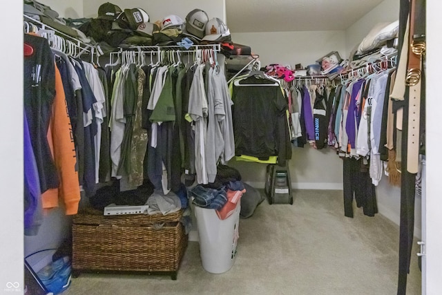 spacious closet featuring carpet flooring