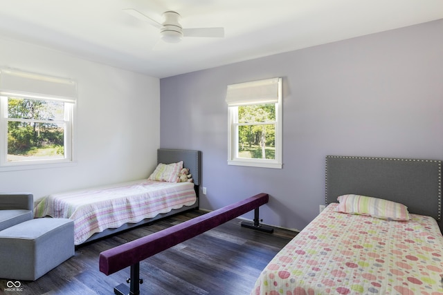 bedroom featuring dark wood-type flooring, multiple windows, and a ceiling fan