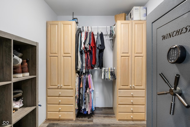 spacious closet with wood finished floors