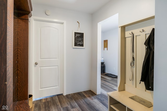 mudroom featuring dark wood-style flooring