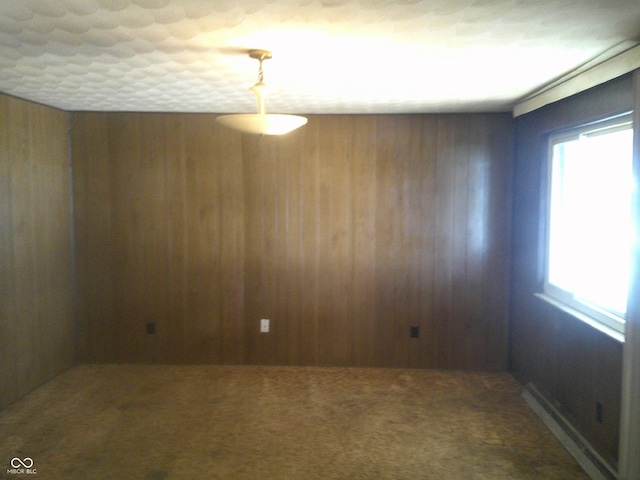 carpeted spare room with wooden walls