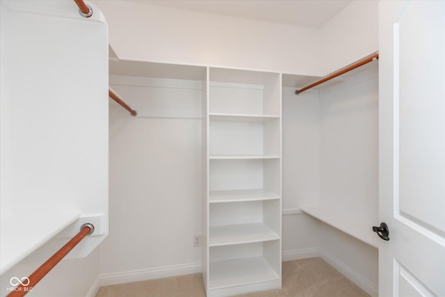 walk in closet featuring carpet flooring